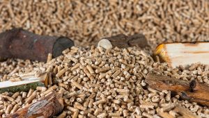 U Pljevljima nema peleta u prodaji: „Nestašica“ nakon Vladinog ograničavanja cijena