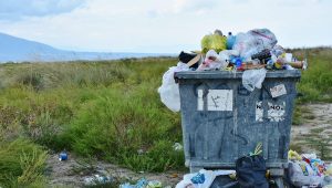 Uskoro spalionica koja će proizvoditi struju iz otpada. Za gradnju zainteresovan japanski gigant