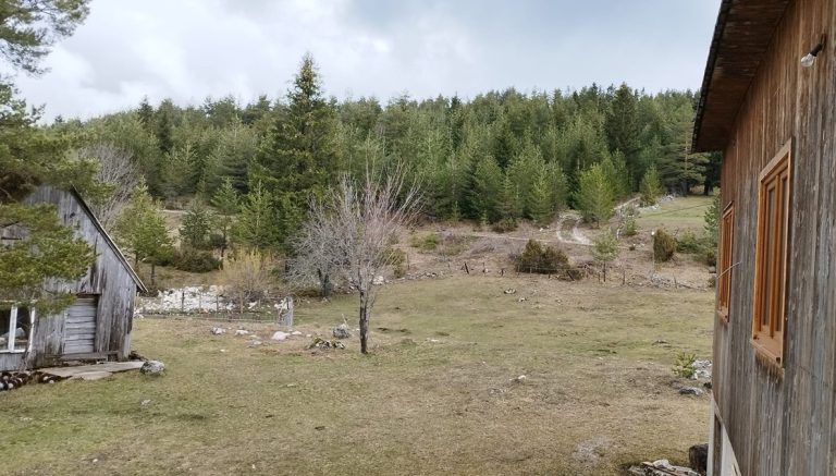 Ruralni turizam razvojna šansa Crne Gore