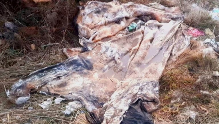 Opasan otpad, u ekološkoj državi, štetan po zdravlje ljudi i okolinu