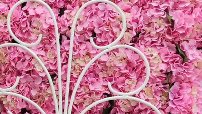 Dan poslije 8. marta – žene i dalje bez jednakih šansi