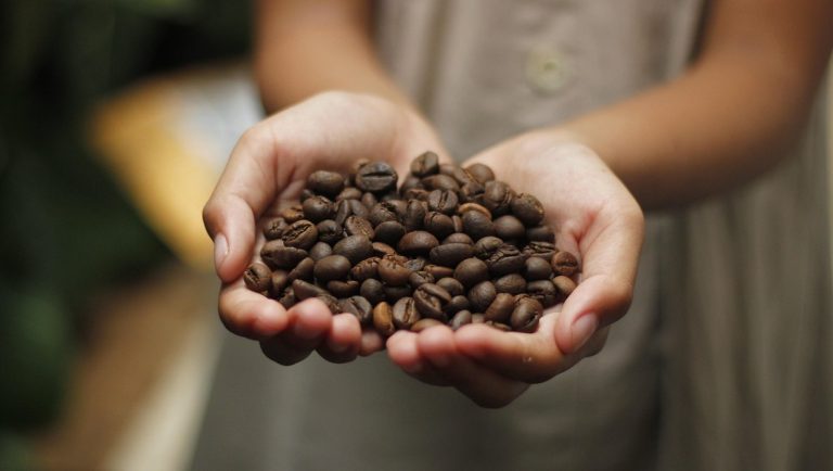 Crnagoracoop godišnje preradi oko 500 tona kafe, u planu izlazak na kinesko tržište