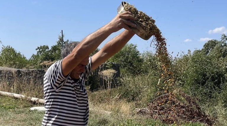 Crnogorska durum pšenica interesantna za međunarodnu naučnu zajednicu