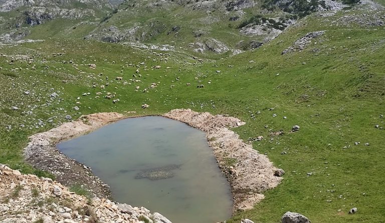 Pred manje razvijenim opštinama brojni investicioni projekti