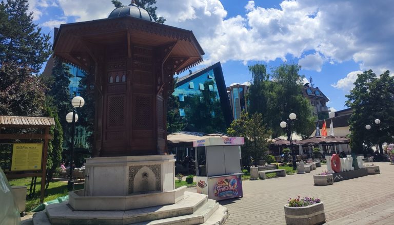 Znanje i kapital dijaspore nedovoljno iskorišćeni